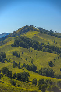 Scenic view of landscape against clear sky