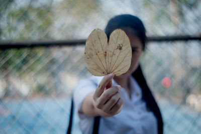 Close-up of hand holding leaf