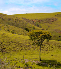 Scenic view of landscape against sky