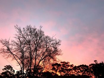 Low angle view of silhouette bare tree against romantic sky