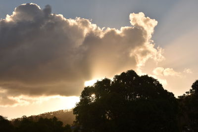 Low angle view of silhouette trees against sky during sunset