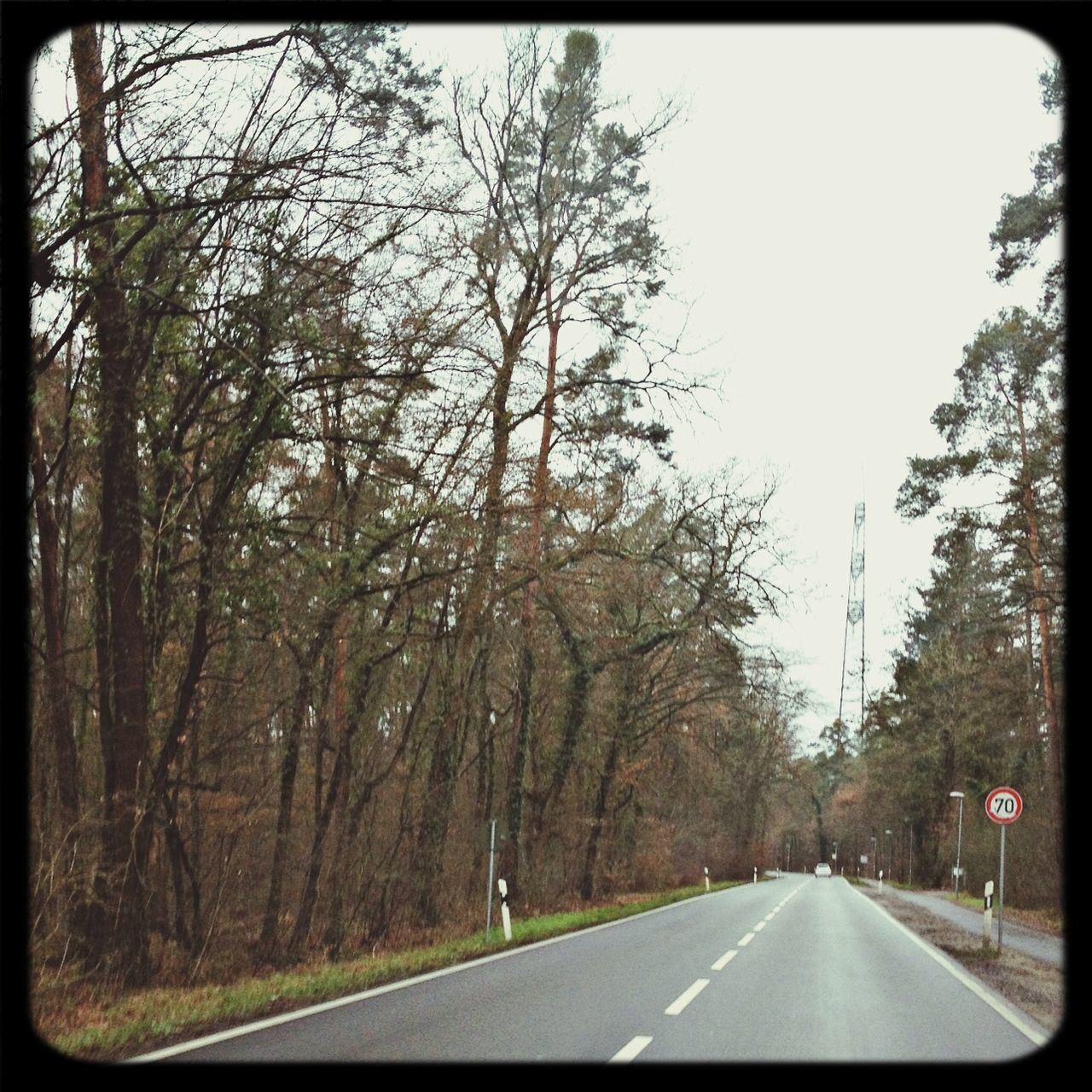 the way forward, transportation, tree, road, diminishing perspective, road marking, transfer print, vanishing point, country road, auto post production filter, sky, empty road, empty, clear sky, nature, car, street, asphalt, tranquility, growth