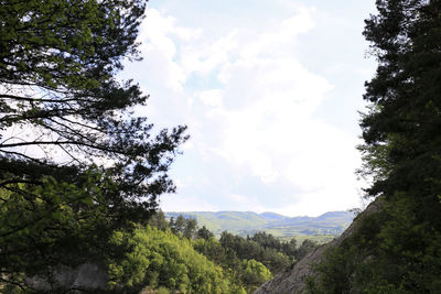Scenic view of trees and mountains against sky