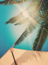 Close-up of palm tree by swimming pool against sky