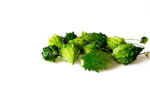 Close-up of green leaves against white background