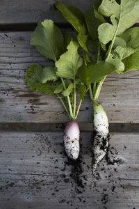 Close-up of vegetables on table