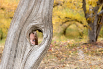 Close-up of lizard on tree trunk during autumn