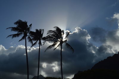 Low angle view of silhouette trees against sky