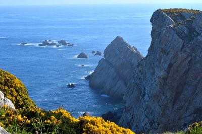 The flowery cliff, spring at cabo peñas. asturias, spain.