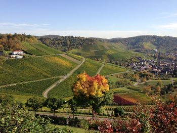 High angle view of vineyard against sky