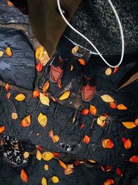 high angle view