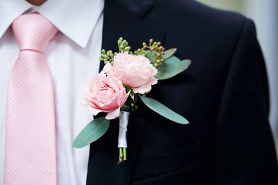 Close-up of pink rose flower