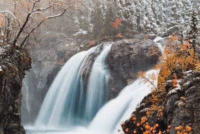 Scenic view of waterfall in forest