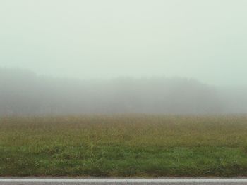 Scenic view of grassy field in foggy weather