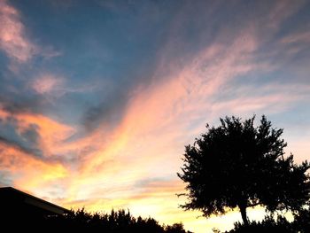 Low angle view of silhouette trees against sky at sunset