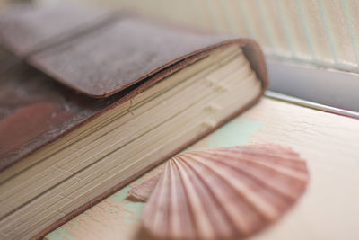 Close up of seashell and book by window
