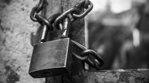 Close-up of padlock and chain on gate