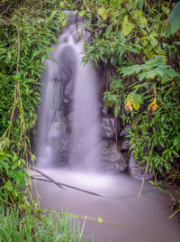 High angle view of waterfall amidst trees in forest