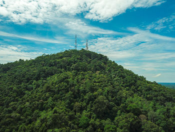 Low angle view of trees on mountain against sky