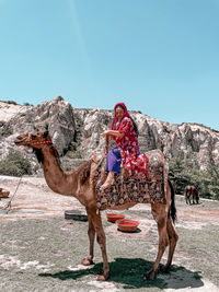 Side view of camels on field against clear sky