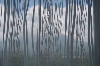 Full frame shot of plants against sky