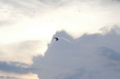 Low angle view of bird flying in sky