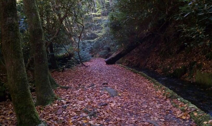 Mingus Mill, NC Great Smoky Mountains.