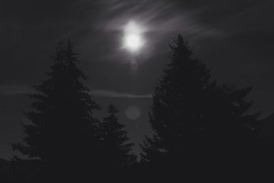 Silhouette of trees and sea against sky at sunset
