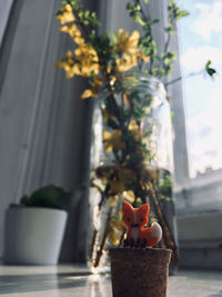 Potted plant on window sill at home