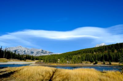 Scenic view of landscape against blue sky