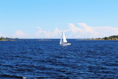 Sailboat sailing in sea against sky