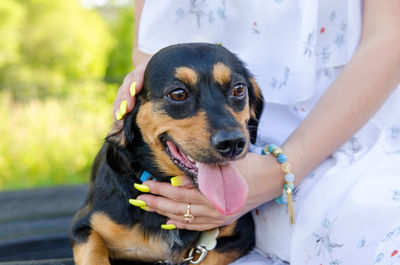 The young woman caresses dog for a walk.