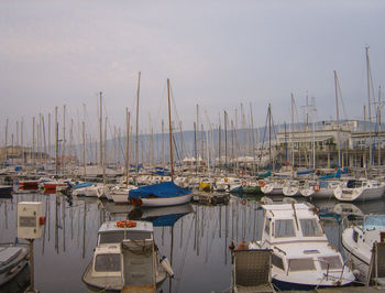 Sailboats moored at harbor against sky