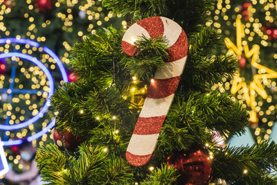 Close-up of christmas tree