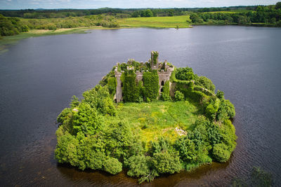 High angle view of plants by lake