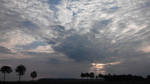 Silhouette of trees against cloudy sky