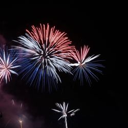 Low angle view of firework display against sky at night