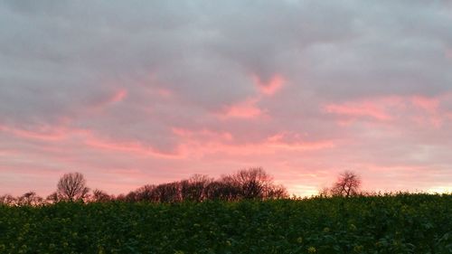 Scenic view of landscape against cloudy sky