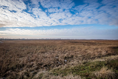 Scenic view of landscape against sky