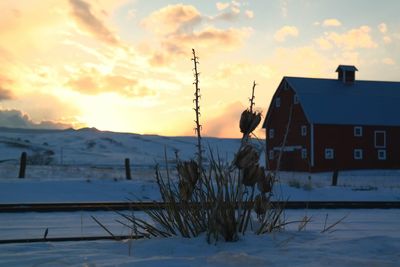 Scenic view of snow at sunset