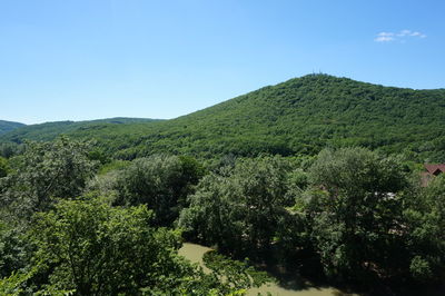 Scenic view of green mountains against clear sky