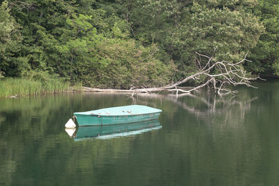 Boat moored on lake by trees