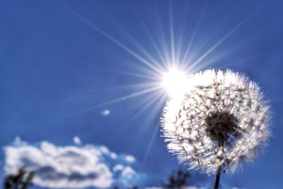 Low angle view of sun shining through clouds