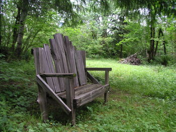 Empty bench on grassy field