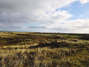 Scenic view of field against sky