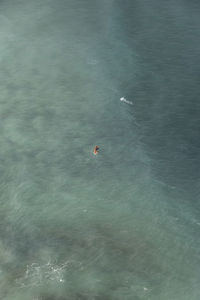High angle view of people swimming in sea