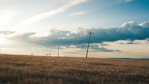 Old rural power line in crop field