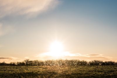 Scenic view of field against sky during sunset