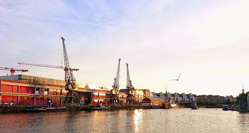 Cranes at harbor against sky