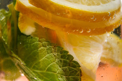 Close-up of lemon slice